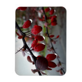 Regen op twig magneet (Verticaal)