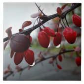 Regen op twig tegeltje (Voorkant)