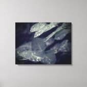 Regenachtige bladeren canvas afdruk (Voorkant)