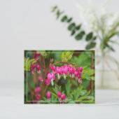 Regenachtige dag bloedend hart Close-up Briefkaart (Staand voorkant)