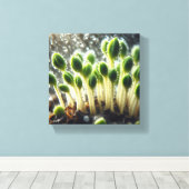 Regenachtige groei - canvas afdruk (Insitu (Houten vloer))