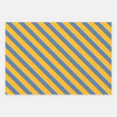 Regenachtige verpakkings-papierenset inpakpapier vel (Voorkant 3)