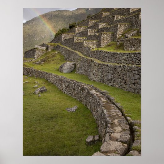 Regenbogen boven de landbouwterrassen, Machu Poster (Voorkant)