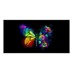 Regenboog bloem vlinder perfect poster