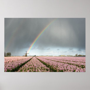 Regenboog boven hyacinten en een windmolen in Holl Poster