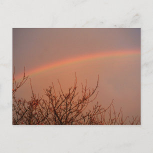 Regenboog Briefkaart