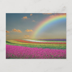 Regenboog Briefkaart