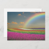Regenboog Briefkaart (Voorkant / Achterkant)
