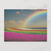 Regenboog Briefkaart (Voorkant)