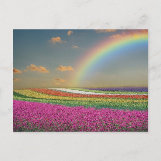 Regenboog Briefkaart (Voorkant)