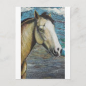 Regenboog Briefkaart (Voorkant)