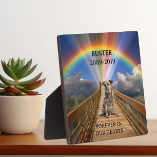Regenboog Brug Huisdier Herdenking Verlies Op Maat Fotoplaat