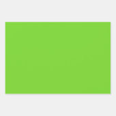 Regenboog Daisy Streep Design-Zacht Teal/Lime Inpakpapier Vel (Voorkant 3)