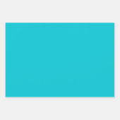 Regenboog Daisy Streep Design-Zacht Teal/Lime Inpakpapier Vel (Voorkant 2)