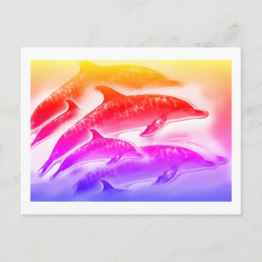 Regenboog dolfijnen kunst briefkaart (Voorkant)