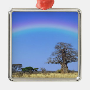 Regenboog en Afrikaanse baobabboom, Adansonia Metalen Ornament