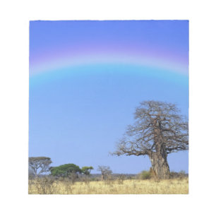Regenboog en Afrikaanse baobabboom, Adansonia Notitieblok