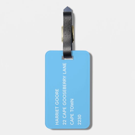 Regenboog en blauwe lucht bagagelabel (Achterkant verticaal)