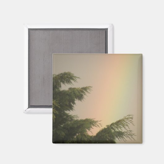 Regenboog en Bomen Magneet (Voorkant / Achterkant)