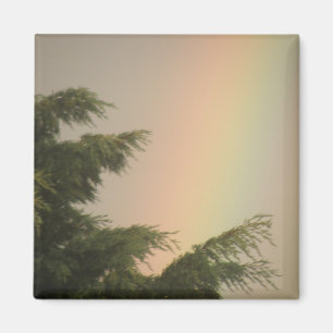Regenboog en Bomen Magnet