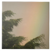 Regenboog en bomen Tile Tegeltje (Voorkant)
