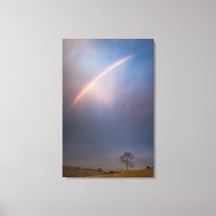 Regenboog en boomlandschap canvas afdruk
