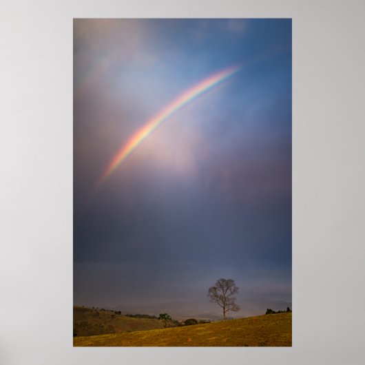 Regenboog en boomlandschap poster (Voorkant)