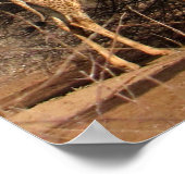 Regenboog en Giraffe Poster / Afdruk (tot 35 x 52  (Hoek)