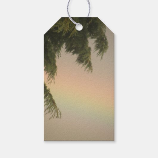 Regenboog en Labels voor aangepaste cadeaus Cadeaulabel (Voorkant)