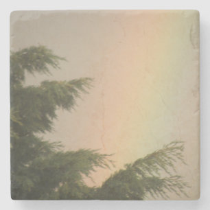 Regenboog en Onderzetters met bomen
