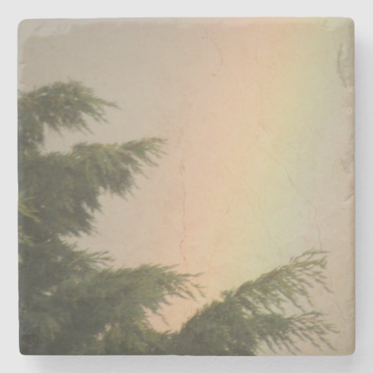 Regenboog en Onderzetters met bomen (Voorkant)