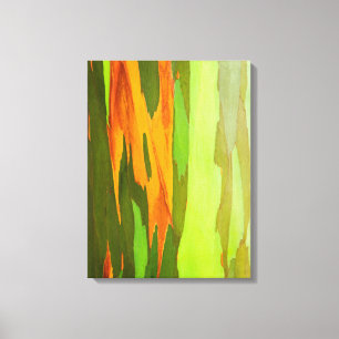 Regenboog Eucalyptus bast, Hawaï Canvas Afdruk