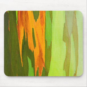 Regenboog Eucalyptus bast, Hawaï Muismat