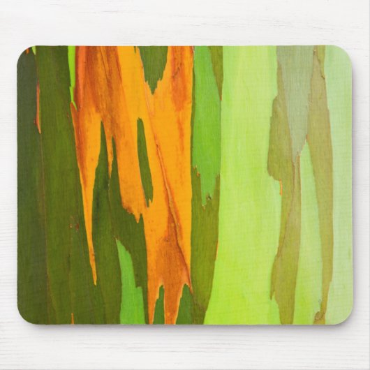Regenboog Eucalyptus bast, Hawaï Muismat (Voorkant)