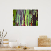 Regenboog Eucalyptus Poster (Keuken)