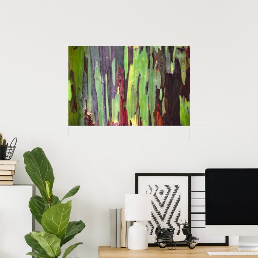 Regenboog Eucalyptus Poster (Thuiskantoor)