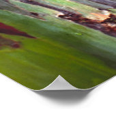 Regenboog Eucalyptus Poster (Hoek)