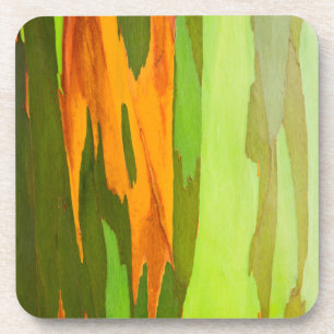 Regenboog Eucalyptus schors, Hawaii Bier Onderzetter