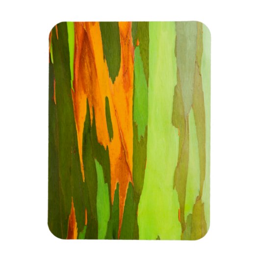 Regenboog Eucalyptus schors, Hawaii Magneet (Verticaal)