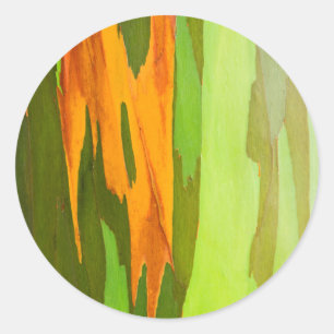 Regenboog Eucalyptus schors, Hawaii Ronde Sticker