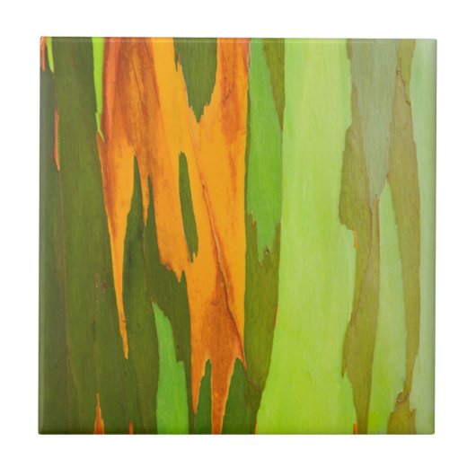 Regenboog Eucalyptus schors, Hawaii Tegeltje (Voorkant)