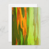 Regenboog Eucalyptusschors, Hawaii Briefkaart (Voorkant / Achterkant)