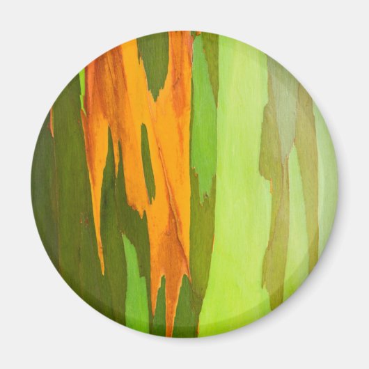 Regenboog Eucalyptusschors, Hawaii Magneet (Voorkant)