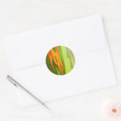 Regenboog Eucalyptusschors, Hawaii Ronde Sticker (Envelop)