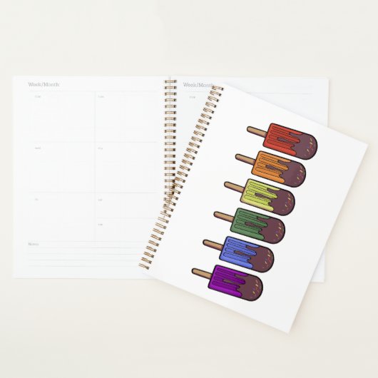 Regenboog Frozen pop Parade Planner (Display)