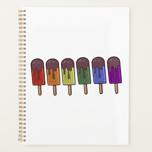 Regenboog Frozen pop Parade Planner (Voorkant)