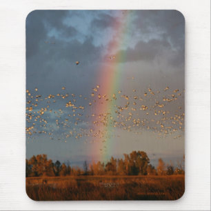 Regenboog & Ganzen Mousepad Muismat