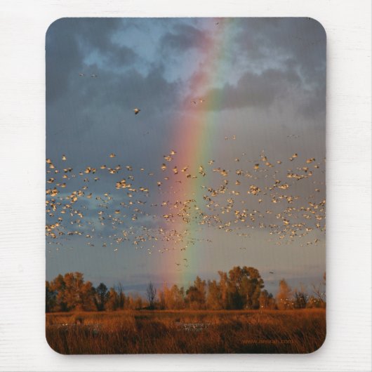 Regenboog & Ganzen Mousepad Muismat (Voorkant)