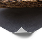 Regenboog Geopaliseerd Hout - Versteend Bos Gem Poster (Hoek)