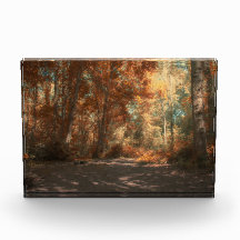 Regenboog Hout